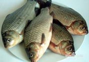 怎么挑選魚？挑魚的技巧有哪些？