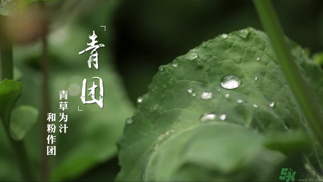 什么人不能吃青團？吃青團要注意什么？