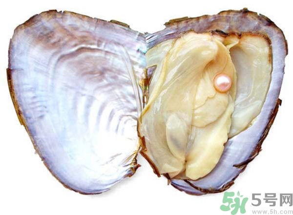 河蚌什么時候吃最好？吃河蚌有什么好處？