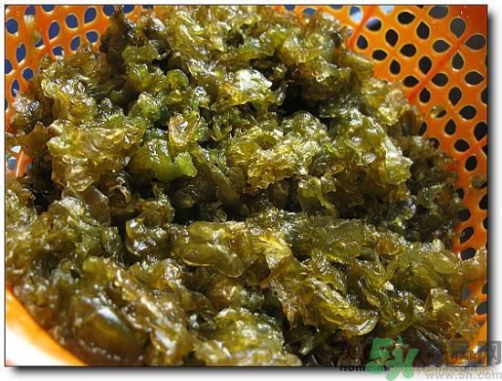 地皮菜怎么清洗干凈？怎樣洗地皮菜？