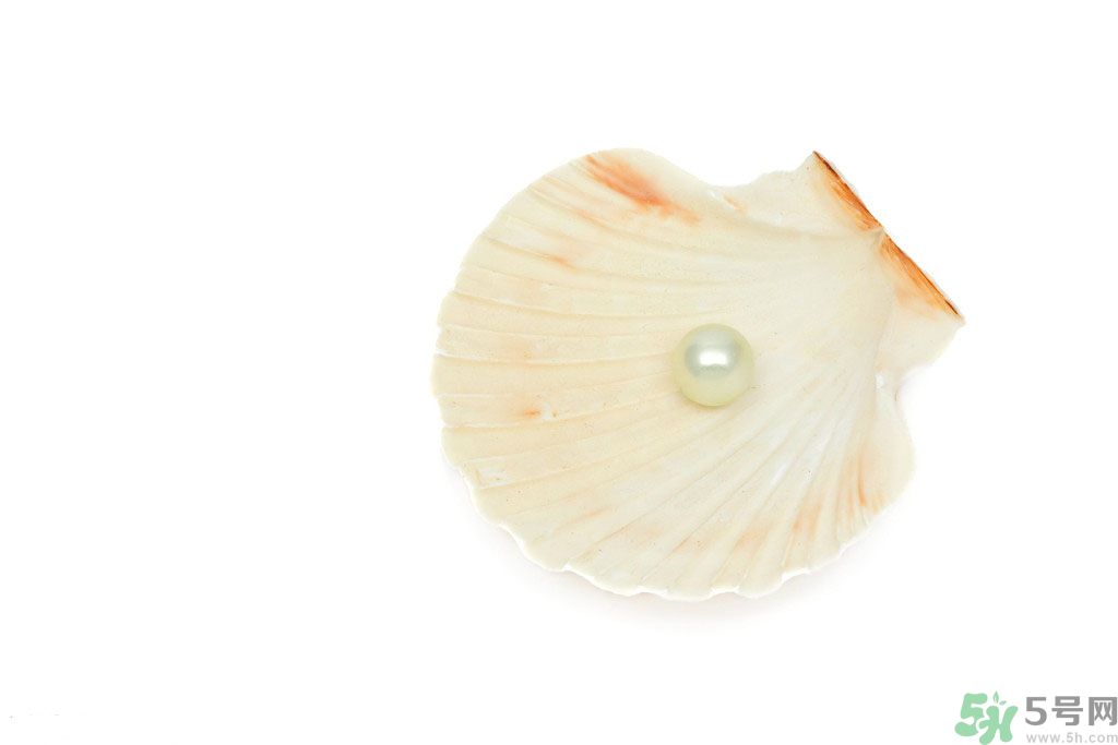 河蚌怎么炒才不會(huì)老？炒河蚌要注意什么？