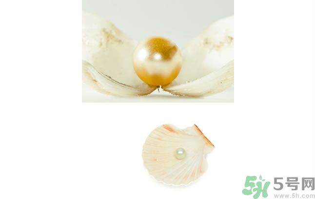 河蚌怎么炒才不會(huì)老？炒河蚌要注意什么？