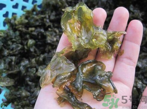 地皮菜孕婦能吃嗎？地皮菜孕婦吃好嗎？