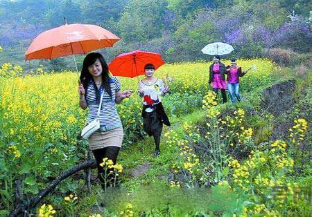 清明節(jié)為什么要踏青？清明節(jié)踏青有什么好處？