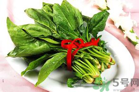 補(bǔ)血吃什么好？補(bǔ)血的食物有哪些？