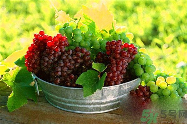 高血脂吃什么水果好？什么水果可以降血脂？