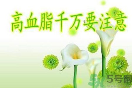 高血脂會頭暈嗎？高血脂會引起高血壓嗎？