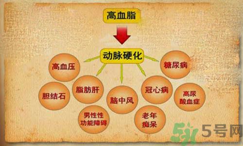 高血脂會頭暈嗎？高血脂會引起高血壓嗎？