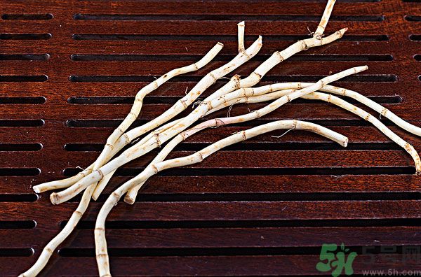 魚(yú)腥草能泡水喝嗎？魚(yú)腥草泡水喝有什么功效？
