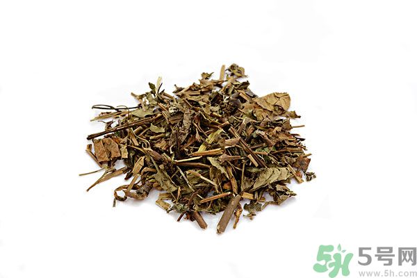 魚(yú)腥草能泡水喝嗎？魚(yú)腥草泡水喝有什么功效？