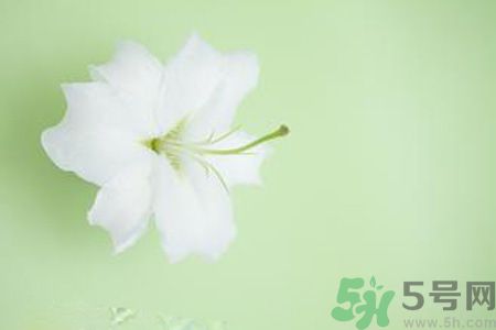 春季咳嗽怎么辦？春季咳嗽吃什么好？