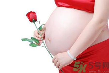 孕婦可以吃枸杞嗎？孕婦吃枸杞好嗎？