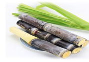 清明節(jié)可以吃甘蔗嗎？清明節(jié)不能吃哪些食物？