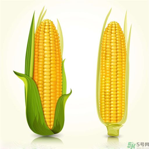 糖尿病可以吃玉米嗎？糖尿病吃玉米好嗎？