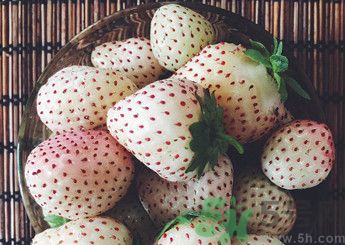 菠蘿莓好吃嗎？菠蘿莓好不好吃？