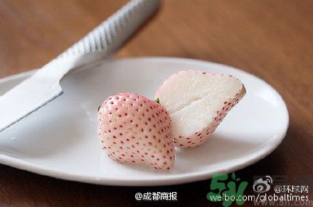 菠蘿莓好吃嗎？菠蘿莓好不好吃？