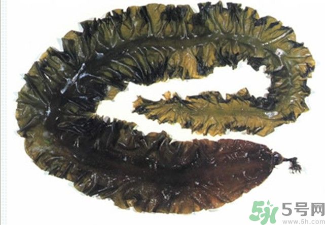海帶用冷水泡還是熱水泡發(fā)？海帶怎么泡才不會發(fā)硬？