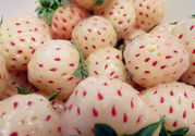 菠蘿莓孕婦能吃嗎？菠蘿莓懷孕可以吃嗎？