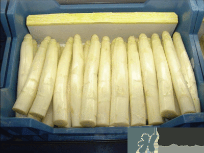 吃蘆筍注意事項(xiàng)有哪些？蘆筍有什么藥用功效？