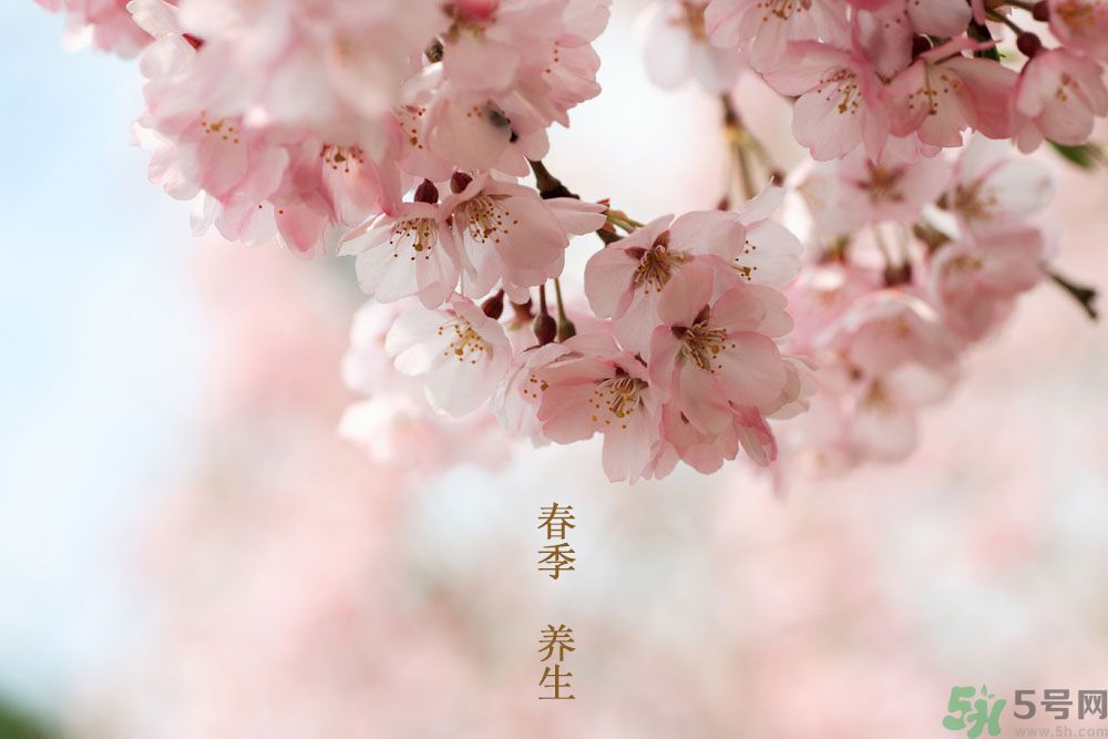 女性春季養(yǎng)生吃什么？女性春季怎么養(yǎng)生？