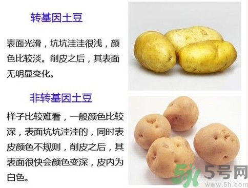 土豆變綠還能吃嗎？土豆變綠有什么危害？