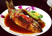 痛風(fēng)可以吃魚(yú)嗎？痛風(fēng)可以吃什么魚(yú)？