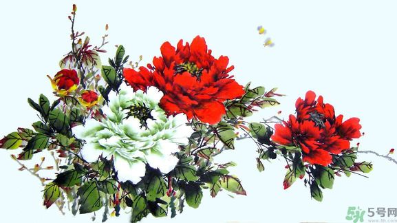 牡丹的花語(yǔ)是什么？牡丹的寓意是什么？