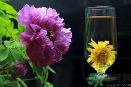 牡丹花可以和菊花一起泡嗎？牡丹花和菊花一起泡茶好嗎？
