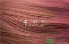 九大色系染發(fā)要怎么選擇？九大色系染發(fā)有什么要求？