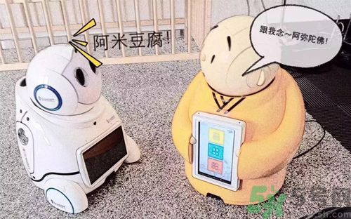 機(jī)器僧哪里可以買(mǎi)到？機(jī)器僧多少錢(qián)？