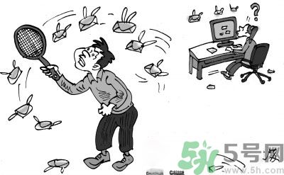 1分鐘被騙334萬(wàn) 釣魚郵件內(nèi)容是什么？
