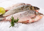 牛奶過(guò)期了還能怎么利用？牛奶能去魚(yú)腥味嗎？