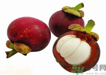 吃山竹會(huì)長胖嗎？山竹會(huì)使人發(fā)胖嗎？