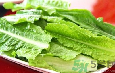 孕婦能吃萵筍葉嗎？孕婦吃萵筍葉好不好？
