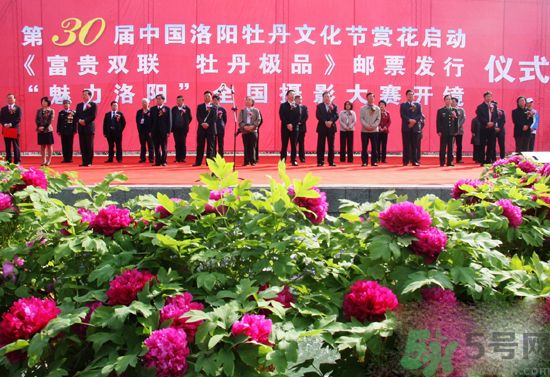 洛陽牡丹文化節(jié)活動有哪些？洛陽牡丹文化節(jié)門票是多少？
