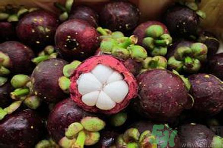 山竹可以和牛奶一起吃嗎？山竹和牛奶一起吃好嗎？