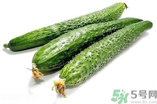 孕婦可以吃生黃瓜嗎？孕婦可以生吃黃瓜嗎？