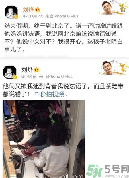 諾一雪梨是誰？為什么叫諾一雪梨？
