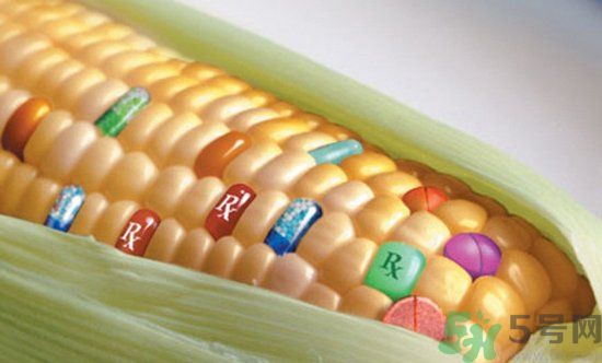 農業(yè)部怎樣回應轉基因食品？轉基因的食物有哪些？