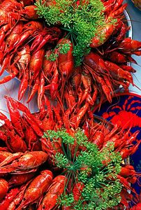 油燜大蝦用的是什么蝦？油燜大蝦用什么蝦最好？