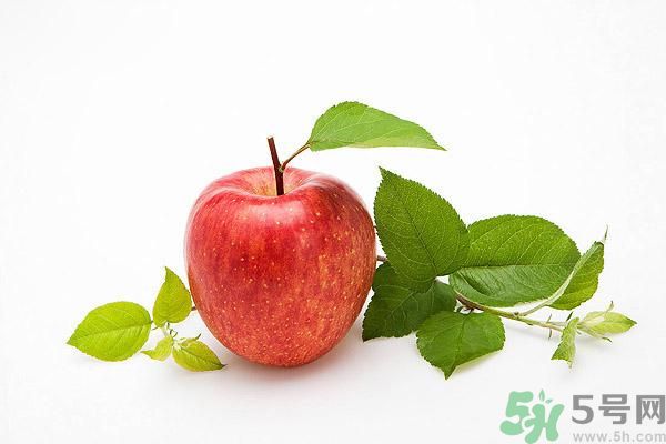 晚上9點以后可以吃蘋果嗎？晚上吃蘋果好不好？