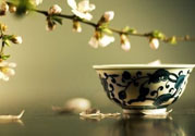 春天喝什么茶養(yǎng)生最好？春天喝茶要注意什么？