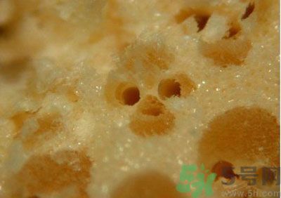 經(jīng)常用一次性筷子可以嗎？一次性筷子有病毒嗎？