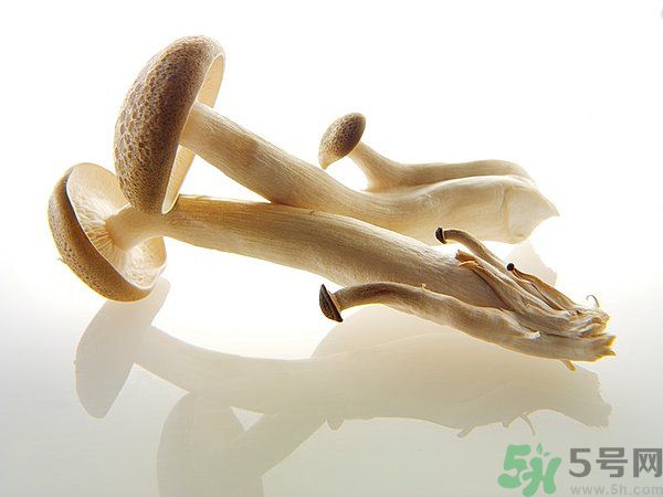 菇類的營養(yǎng)價(jià)值有哪些？怎樣挑選優(yōu)質(zhì)的菇類？