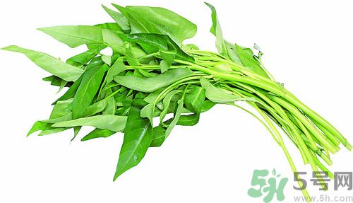 空心菜和雞能一起吃嗎？空心菜怎么吃有營養(yǎng)？