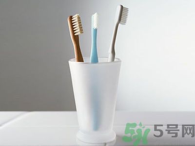 牙齦出血要換牙刷嗎？牙刷多久換一次好？