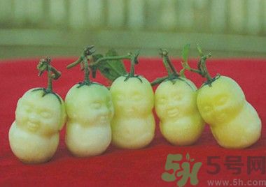 人參果怎么吃？人參果的營養(yǎng)價值有哪些？