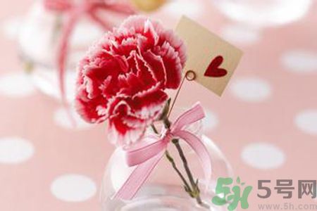 母親節(jié)送什么顏色的康乃馨？母親節(jié)應(yīng)該買(mǎi)什么顏色的康乃馨？