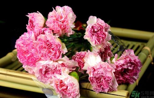 母親節(jié)送什么花好？母親節(jié)應(yīng)該送什么鮮花？