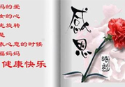 母親節(jié)送什么花好？母親節(jié)應(yīng)該送什么鮮花？